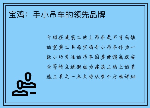 宝鸡:手小吊车的领先品牌