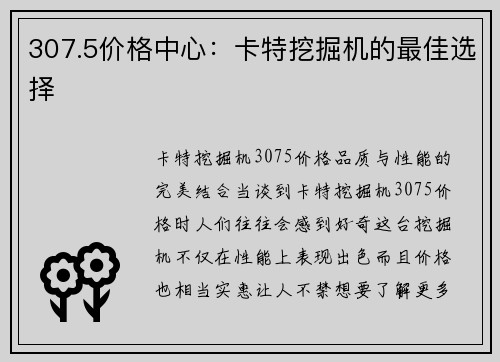 307.5价格中心：卡特挖掘机的最佳选择