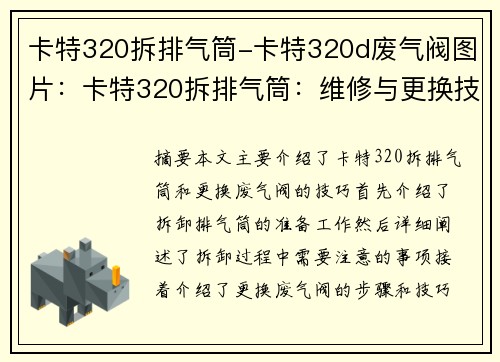 卡特320拆排气筒-卡特320d废气阀图片:卡特320拆排气筒:维修与更换技巧